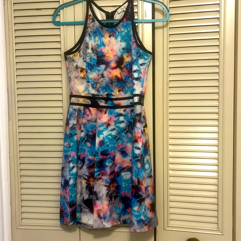 Parker spring dress